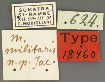 Media type: image; Entomology 18460   Aspect: labels